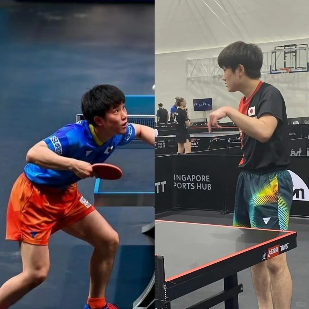 包含奥地利队碾压韩国队,张本智和惊艳四座的词条 包含奥地利队碾压韩国队,张本智和惊艳四座的词条