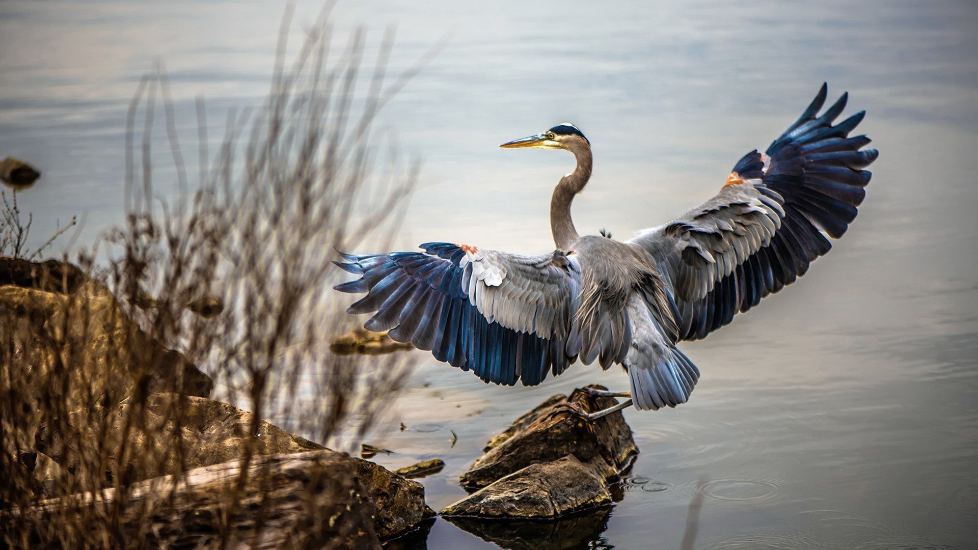 阿克一锤定音！韩国队闪电战速胜牙买加，关键先生改写比赛剧本