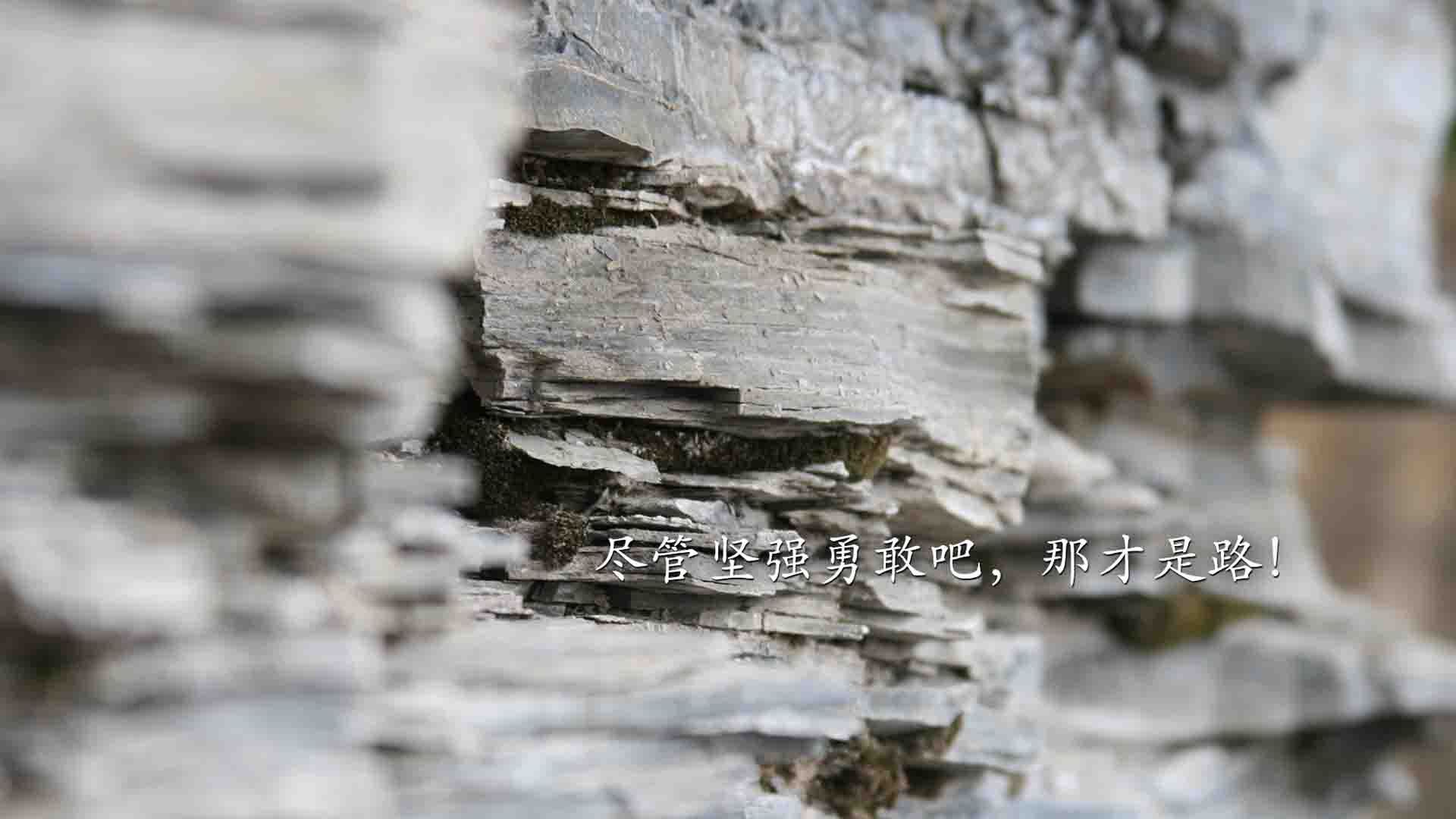 布伦森爆发，深圳队正面击溃火箭，一场跨越时空的篮球对话