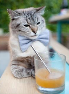 拉梅洛惊艳四座，掘金团队碾压凯尔特人，一场天赋与体系的终极对话