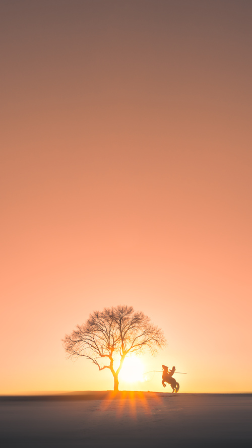 詹姆斯完美演绎掌控力，灰熊团队风暴击穿国王