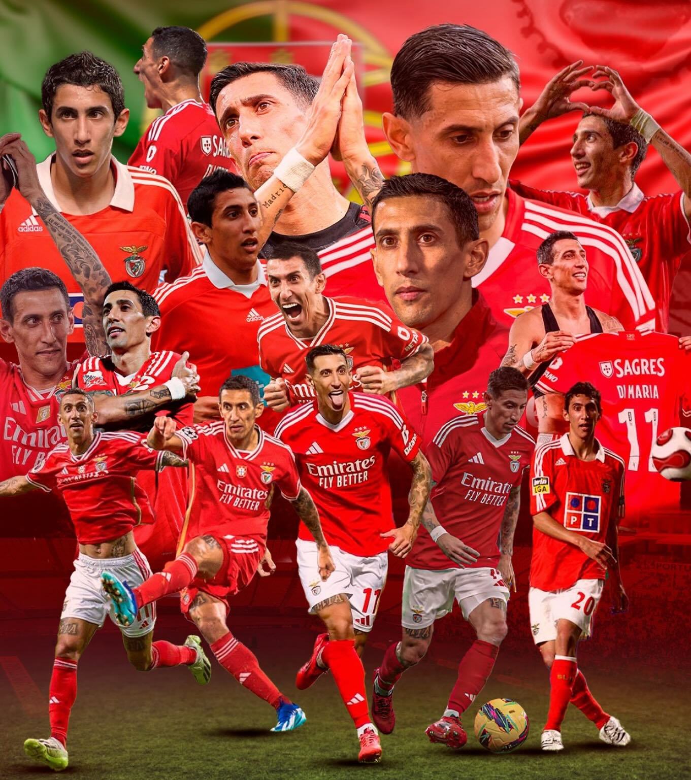 阿尔克马尔老将告别：球队历史时刻的简单介绍